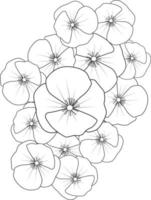 flores de amapola libro para colorear para niños plantas dibujadas a mano florecen naturaleza grabado en tinta, patrón floral vectorial monocromo dibujado a mano, ilustración de croquis con flores. vector