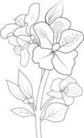 Hand drawn botanical spring elements bouquet of azalea flower line art coloring page vector