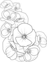 Poppy blossom flowers and branch vector illustration. hand Drawing vector illustration for the coloring book or page Black and white engraved ink art, for kids or adults.