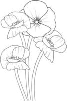 Isolated poppy flower hand drawn vector sketch illustration, botanic collection branch of leaf buds natural collection coloring page floral bouquets engraved ink art.