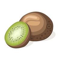 jugoso kiwi fresco aislado sobre fondo blanco vector