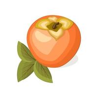 Juicy fresh colorful persimmon isolated on white background. vector