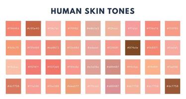 Index of skin tones set. Cosmetics skin tone color pallete. Vector isolated illustration