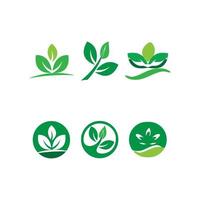 Green leaf logo vector