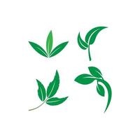 Green leaf logo vector