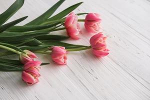 ramo de tulipanes rosas sobre un fondo blanco de madera. lugar para texto foto