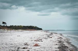 west beach on baltic sea beach. detailed and textured still life. beautiful vacation photo