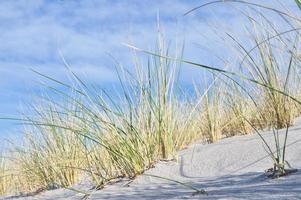 duna en la playa del mar báltico con hierba de dunas. playa de arena blanca en la costa foto