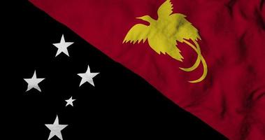 Waving flag of Papua New Guinea in 3D rendering video