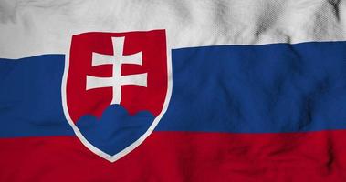bandera ondeante de eslovaquia en renderizado 3d video