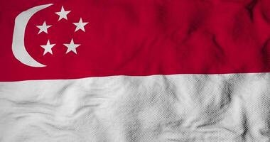 Waving flag of Singapore in 3D rendering video
