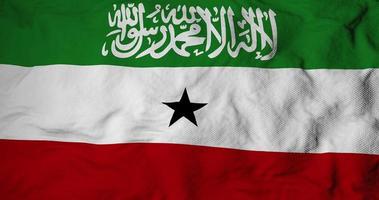 Waving flag of Somaliland in 3D rendering video