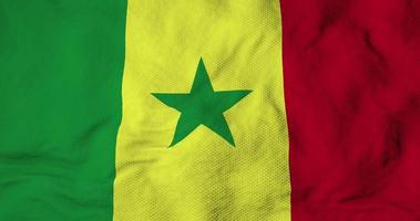 Waving flag of Senegal in 3D rendering video