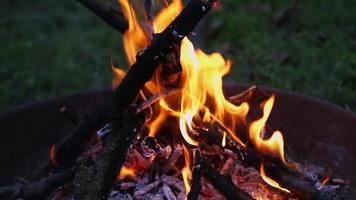 les flammes en gros plan du feu avec des étincelles volent. feu de joie nocturne - les branches brûlent le soir dans le feu de camp. des rondins de bois sont en feu au crépuscule. la flamme flamboie sur les braises avec formation de fumée blanche. video