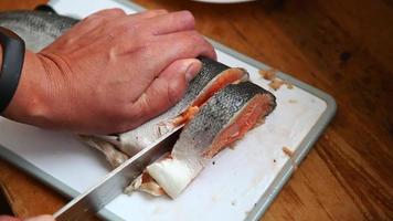 Mens stekken rood vis Aan plastic bord. chef snijdend Zalm in de keuken. koken bezuinigingen de forel in steaks. handen besnoeiing kameraad. snijdend vers vis Aan een bord in dun plakjes met een scherp staal mes. video