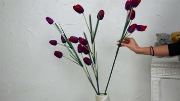 a girl holds in her hand a sprig of tulips and puts it into a vase close up video