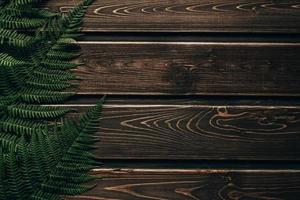 Fresh fern border on vintage wooden background with copy space photo