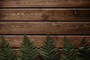 Fresh fern border on vintage wooden background with copy space photo