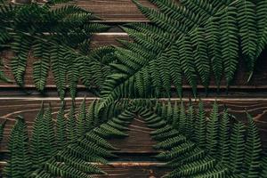 Fresh fern border on vintage wooden background with copy space photo