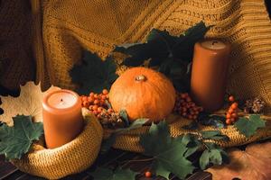 orange pumpkins with autumn leaves and a knitted blanket photo