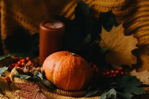 Thanksgiving pumpkins with fall leaves in cosy knitted blanket close up photo