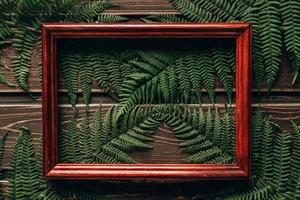 hojas de helecho sobre fondo de madera oscura con marco foto
