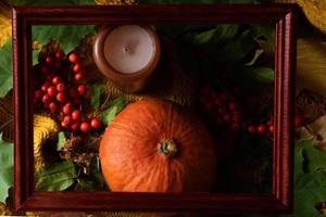 Autumn leaves, warm scarf and pumpkin on wooden board. Top view. Flat lay. photo