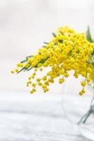 Beautiful yellow mimosa flower blossom in glass vase in spring time photo