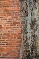 vertical orange square brick block wall textured and wooden tree background. strong interiors house building. photo