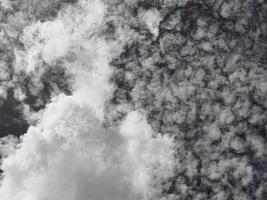 beauty black and white with fluffy clouds on sky.  classic dark image. abstract fantasy growing light photo