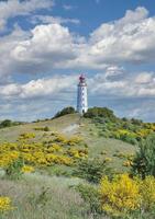 Lighthouse on Hiddensee,,baltic Sea,Mecklenburg-Vorpommern,Germany photo