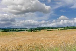 Tierras agrícolas en Holstein, Suiza, Alemania foto