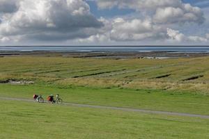 salt marsh in Wesselburenerkoog,Dithmarschen region,North Sea,Germany photo