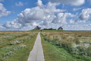 Hamburg Hallig or Hamburg Holm,North Sea,North Frisia,Germany photo