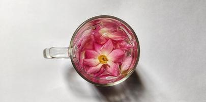 rosa chinensis flor en vaso de vidrio lleno de agua, ilustración de concepto romántico, aislado sobre fondo blanco foto