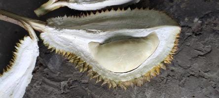 Portrait of durio zibethinus fruit flesh or commonly known as durian fruit. This fruit is often referred to as the king of fruit because it has a very delicious photo