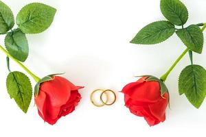 Red roses and gold rings on white photo