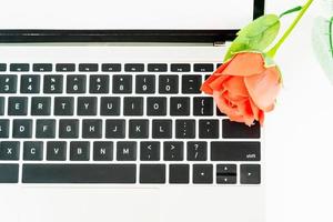 Red rose on laptop on white photo