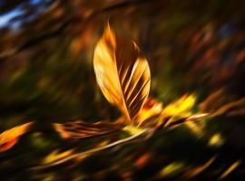 Abstract nature background photo