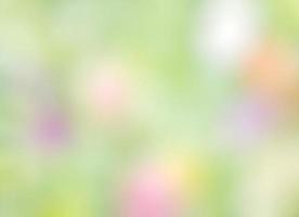 Abstract blurred image of a spring garden photo