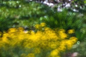 Abstract blurred image of a spring garden photo