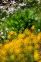 imagen borrosa abstracta de un jardín de primavera foto