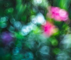 imagen borrosa abstracta de un jardín de primavera foto