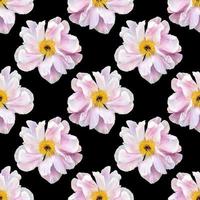 Floral background. Seamless pattern with peony photo