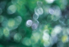 Abstract blurred image of a spring garden photo