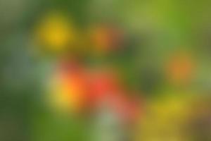 imagen borrosa abstracta de un jardín de primavera foto