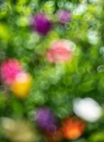 Abstract blurred image of a spring garden photo