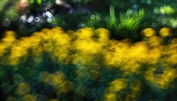 Abstract blurred image of a spring garden photo