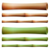 Bamboo Stems Isolated. Green And Brown vector