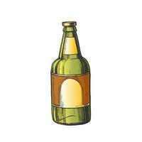 Hand Drawn Classic Color Bottle Of Beer Vector